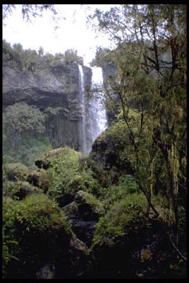 Aberdares - Wasserfall - Kenia