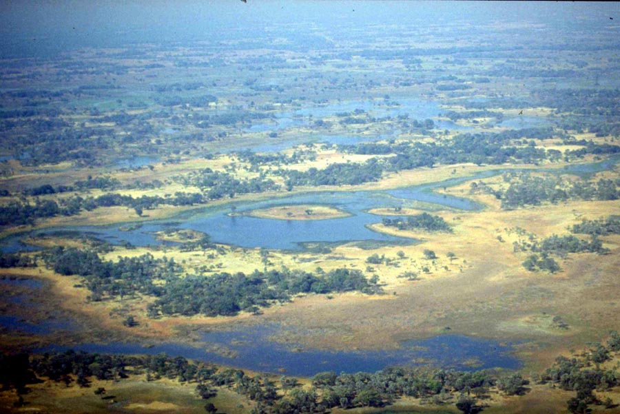 Luftaufnahme des Okawangodelta - Botswana