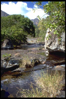 Bachlauf in der Nähe des Mount Mulanje - Malawi
