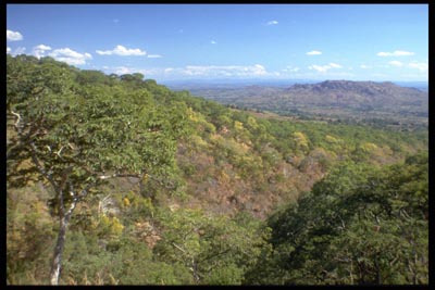 Blick ins Umland des Mount Mulanje - Malawi