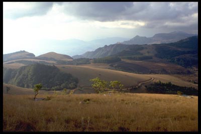 Zomba Plateau - Malawi