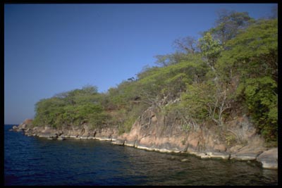 Insel im Malawisee - Malawi