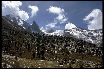 Teleki Valley - Mount Kenia - Kenia