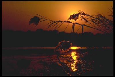 Sonnenuntergang am Zambezi - Caprivi - Namibia