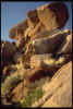 Felsformation auf der Namtib Farm - Namibia