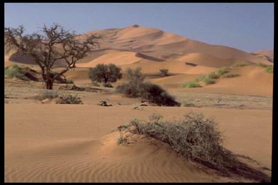 Parabeldünen im Sossusvlei - Namibia