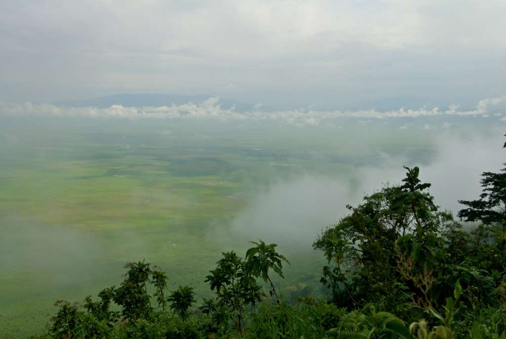 Blick in den wolkenverhangenen Ngorongoro Krater in Tansania