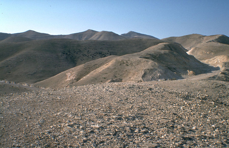 Wüste Judäa - Israel
