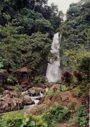 Gitgit-Wasserfall - Bali - Indonesien