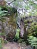 Abel Taman Nationalpark - Neuseeland