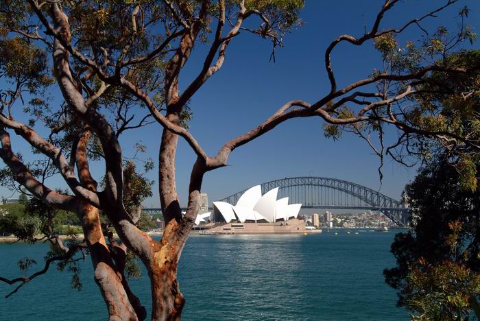 Sydney Opera House & Harbour Bridge - Sydney