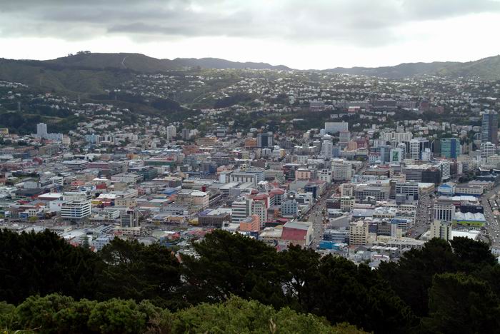 Blick vom Mount Victoria auf Wellington, Neuseeland