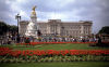 Buckingham Palace - London - Großbritannien