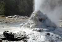 Lady Knox Geysir, Neuseeland Lady Knox Geysir, Neuseeland