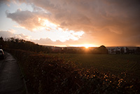 Sonnenuntergang Sonnenuntergang