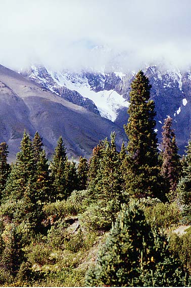 Auriol Trail - Kanada