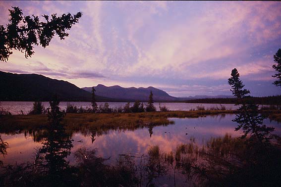 Pine Lake - Haines Junction - Kluane Nationalpark - Kanada/USA