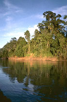 Rio Aguarico - Amazonasbecken - Ecuador