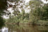 Rio Shushufindi - Amazonasbecken - Ecuador