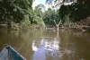 Bootstour auf dem Rio Shushufindi - Amazonasbecken - Ecuador