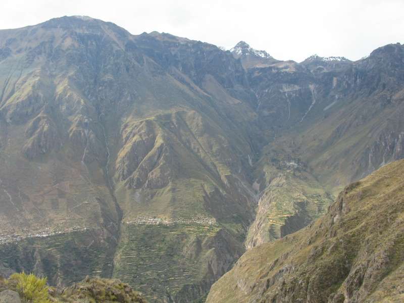 Blick in den Colca Cañon - Peru